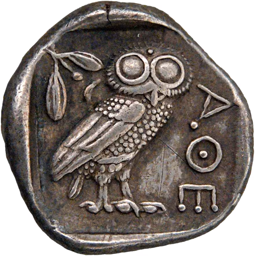la civetta di Atena